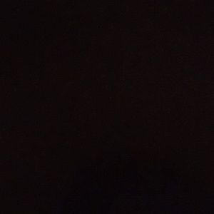 Meet your Posher, Martha